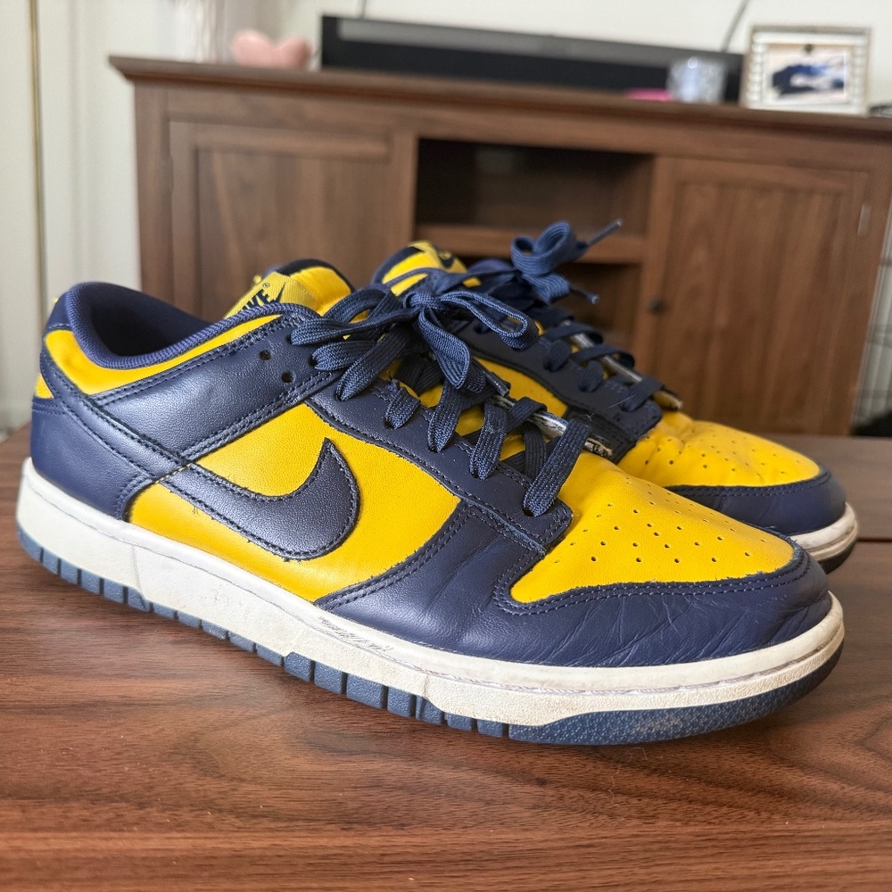Nike SB Low 2021 Michigan. No box.